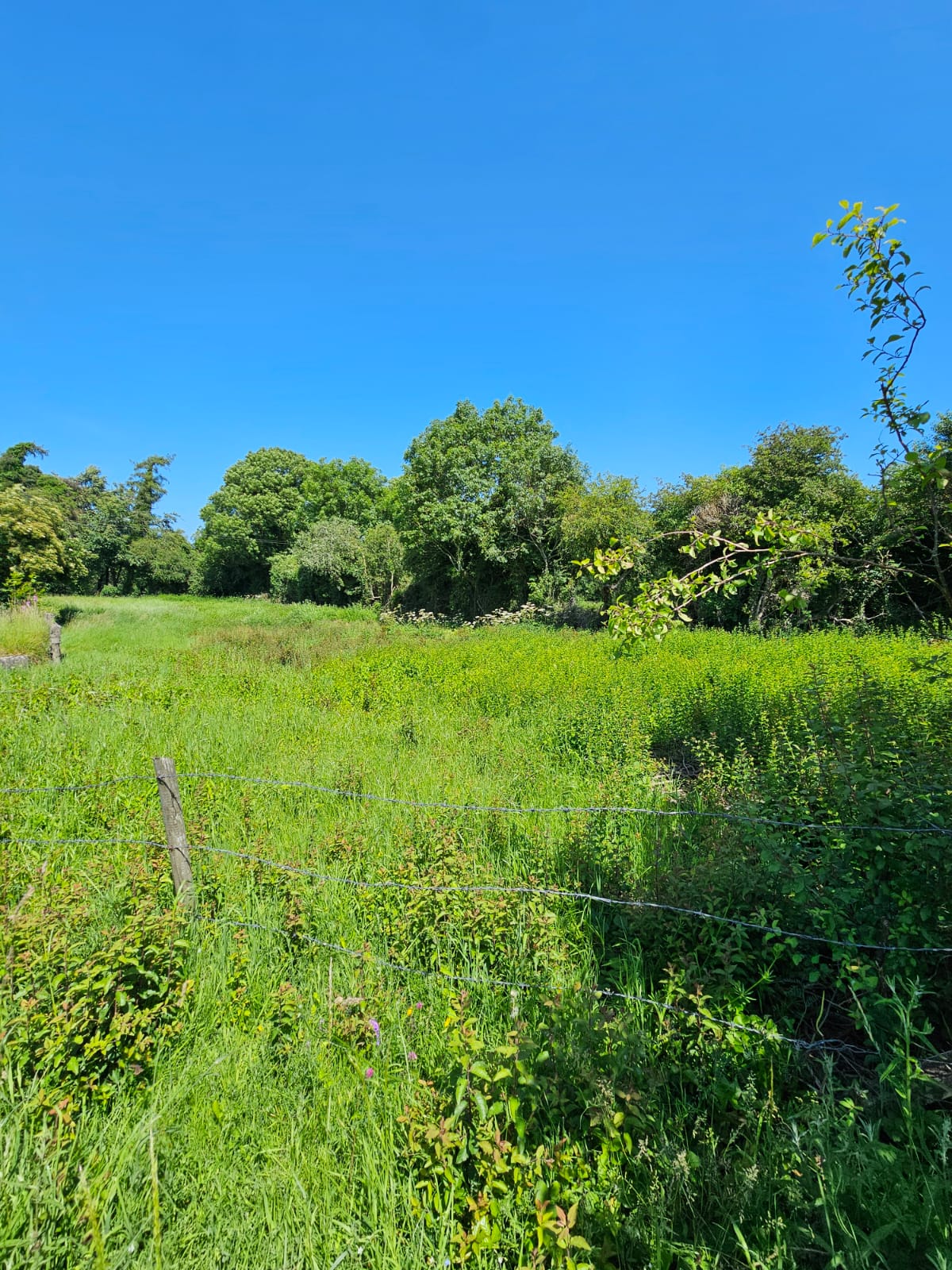 Clonkeen, Carbury, Co. Kildare