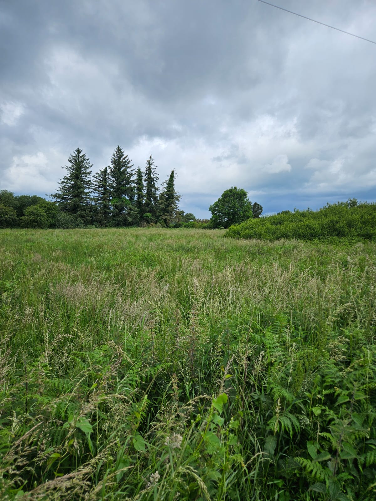 Ticknevin  Carbury Co Kildare