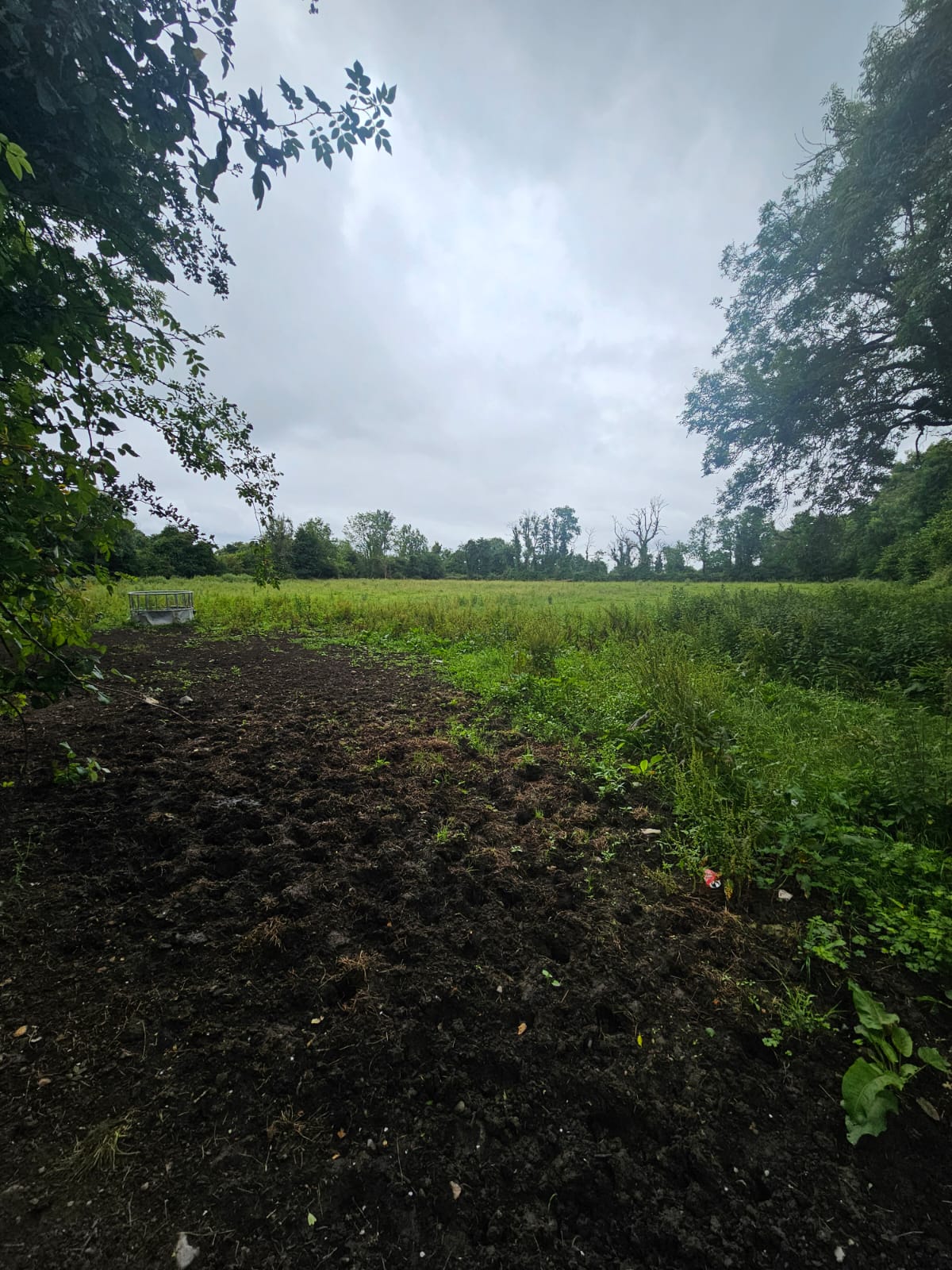 Edenderry Co Offaly