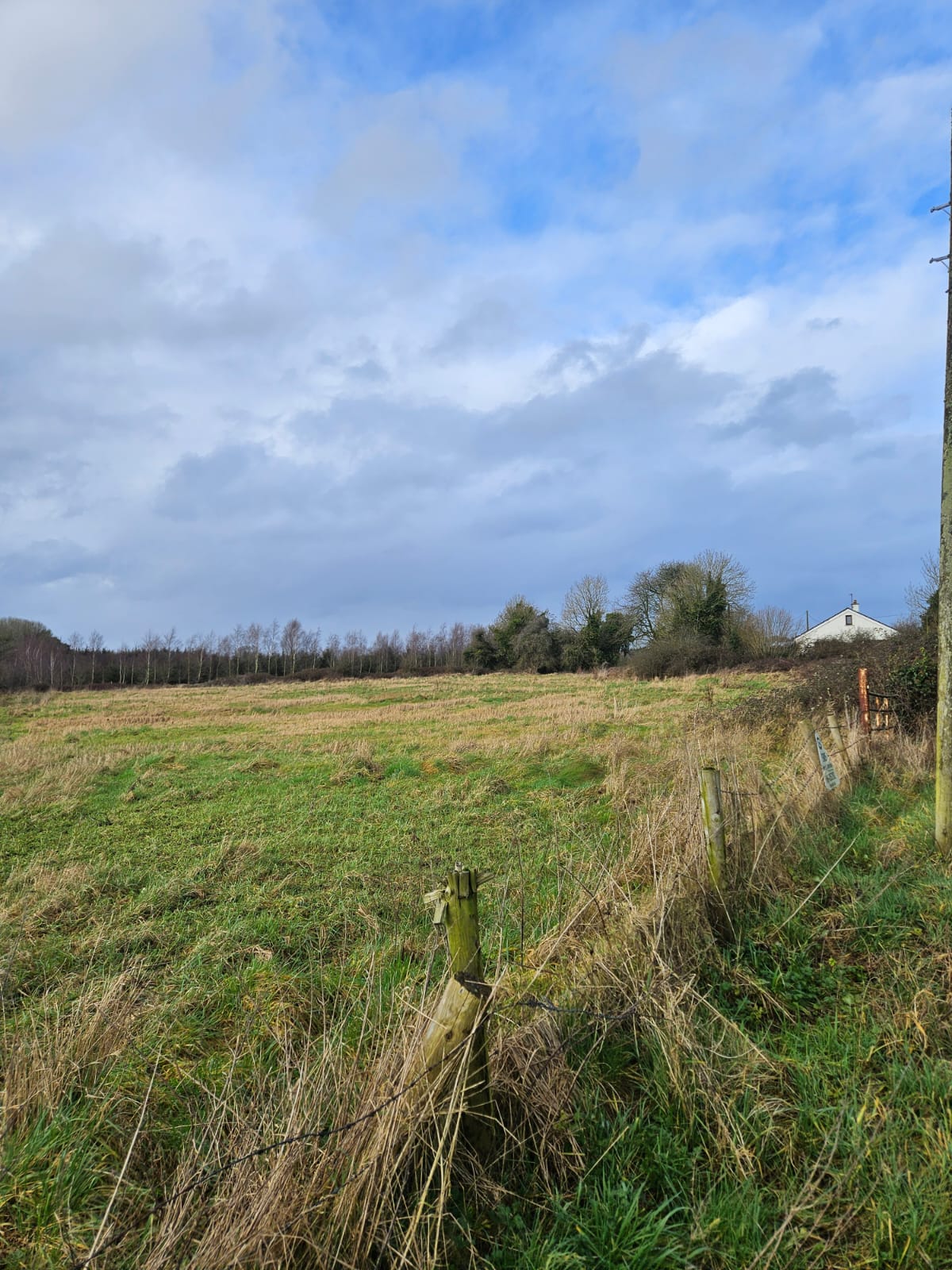 Clongarret, Clonbullogue, Co. Offaly